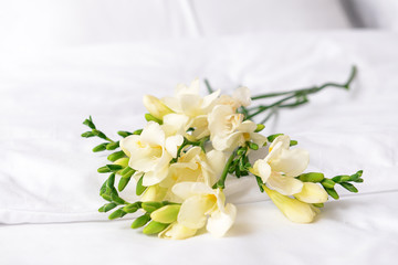 Bouquet of beautiful freesia flowers on bed