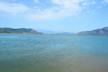 turtle island and green Dalyan river in Turkey
