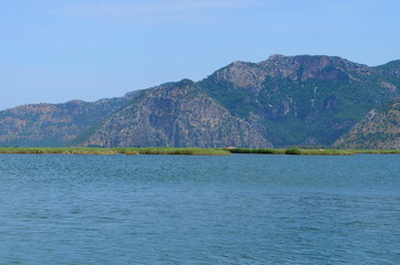 Obraz premium turtle island and green Dalyan river in Turkey