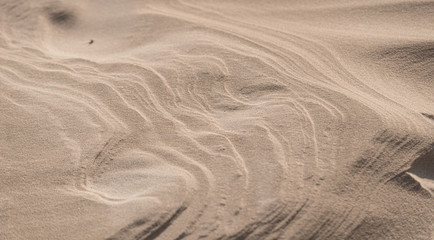 Fine texture in a desert sand dune.
