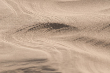 Fine texture in a desert sand dune.