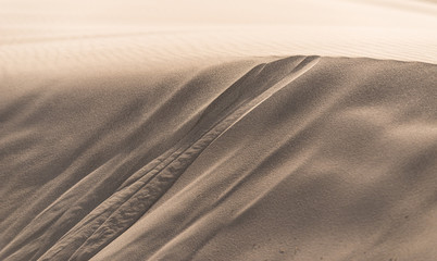 Details of a sand dune in beautiful light.