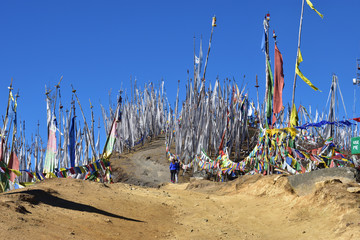Prayer Flags at Chelela Pass, Bhutan