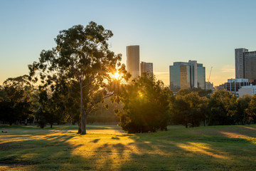 Sunny morning with sunshine thorugh the trees in a park with city buildings in the distance.