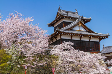 郡山城　奈良