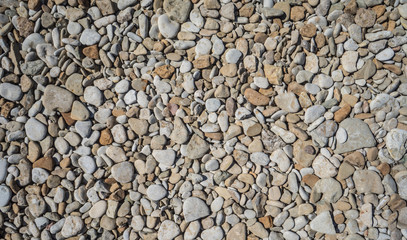 Background of sea pebbles. Limestone rocks on the shores of the Gulf of Finland.
