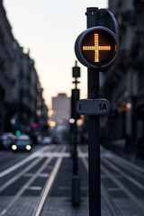traffic light in the city at dusk