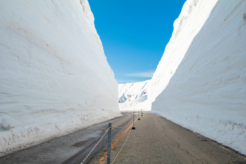 The japan alps  or the snow mountains wall  of Tateyama Kurobe alpine  in sunshine day with  blue sky background is one of the most important and popular natural place in Toyama Prefecture, Japan.