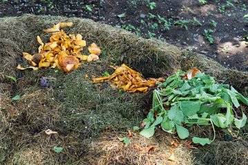 Organic composting biodegradable waste pile, vegetable, fruits bio rotting