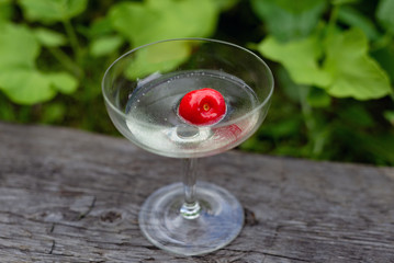 Champagne wine glass outdoor wood countryside grass