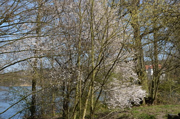 Grunewald, Wilmersdorf, Berlin