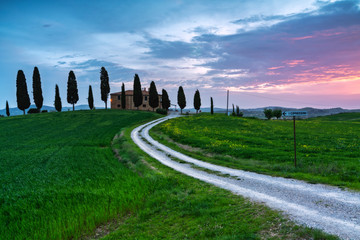 Cipressini