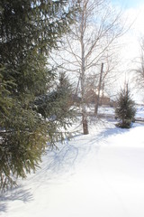 Winter countryside landscape. Sunny day
