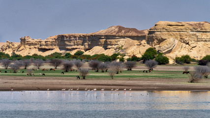 Oasis dos Archos, Angola