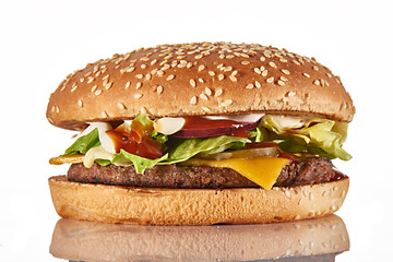 fresh tasty burger isolated on white background
