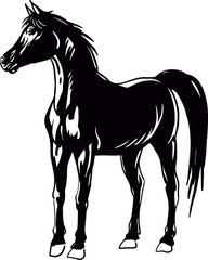 horse,black and white picture isolated on white background, tattoo illustration