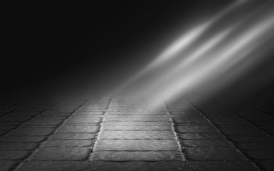 Empty background scene. Dark street reflection on the wet pavement. Rays  neon light in the dark, neon figures, smoke. Night view of the street, the city. Abstract dark background.