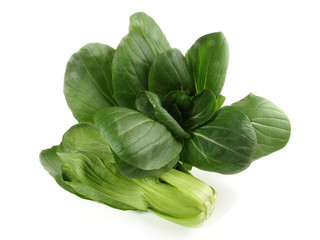 Kohl - Pak Choi