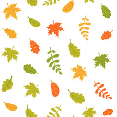 Seamless pattern of falling autumn leaves on a white background. Colorful leaves of different trees. Vector illustration in flat style.