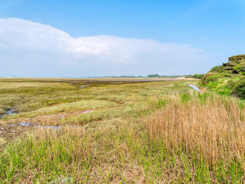 Across the salt marshes near West Wittering beach in West Sussex.