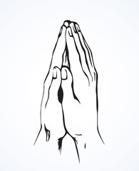 Praying hands. Vector drawing