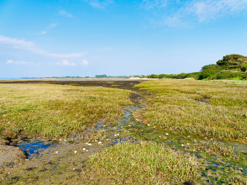Streams criss-cross a salt marsh at West Wittering