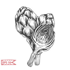 Vector background, sketch artichoke.