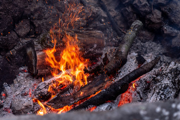 close up of burning wood