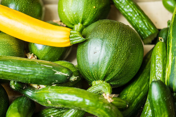 Many green healthy vegetables. Fresh zucchinis with great taste..Beautiful different vegetables varieties for a vegetarian food.