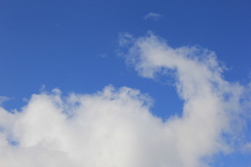 さわやかな青空と白い雲(長い鼻を持ち上げた象)
