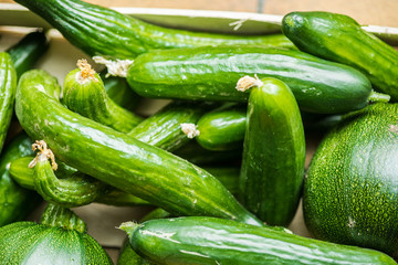 Many green healthy vegetables. Fresh zucchinis with great taste..Beautiful different vegetables varieties for a vegetarian food.