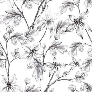 White flower and leaves painted with black pencil in vintage graphic style on white seamless background, Wallpaper, textiles, wrapping paper