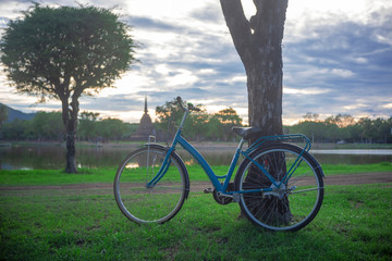 Bicycle in the garden