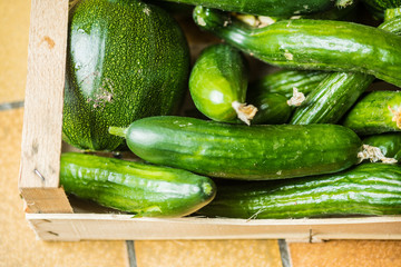 Many green healthy vegetables. Fresh zucchinis with great taste..Beautiful different vegetables varieties for a vegetarian food.
