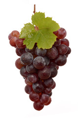 Grapes