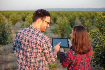 Smiling young male and female farmers or agronomists inspecting fruit orchard, looking at each other. Woman is holding a tablet. View from behind. Organic farming and healthy food production