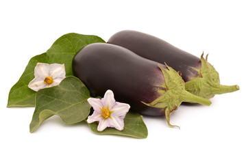 Eggplant