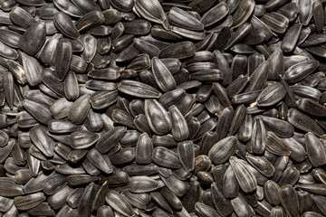 Photo of closeup texture of black sunflower seeds, background