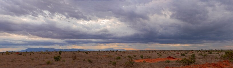 Fototapeta na wymiar Panoramic of Tsavo East National Park, Kenya