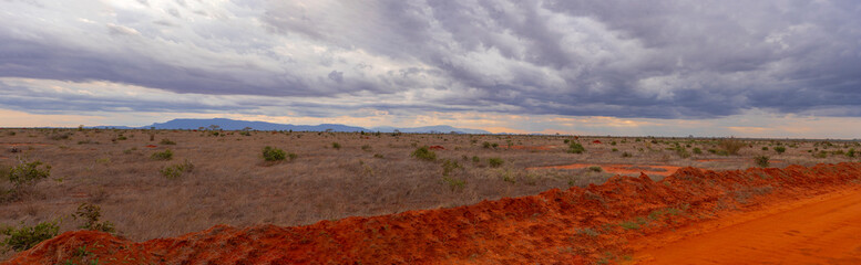 Panoramic of Tsavo East National Park, Kenya