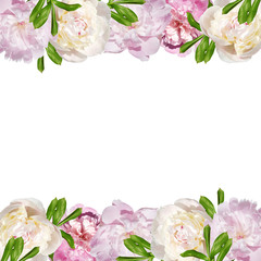 Fototapeta na wymiar Beautiful floral background of pink and white peonies. Isolated