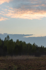 Fototapeta na wymiar A small fog at the edge of the forest at sunset after rain