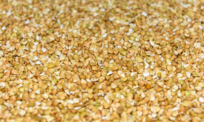 Photo of closeup texture of white buckwheat seeds, background