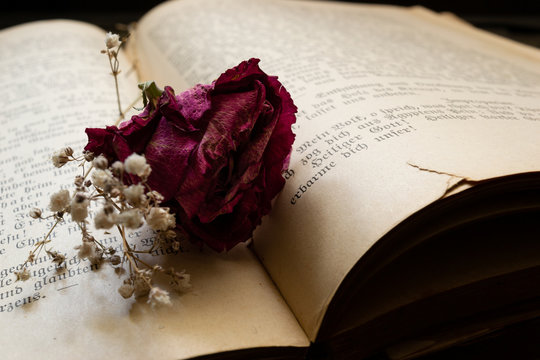 flowers on antique german book with gothic print