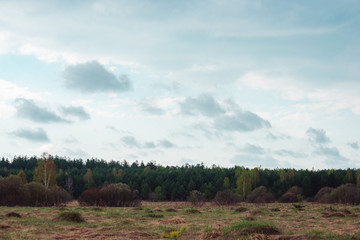 Cloudy clouds over the forest