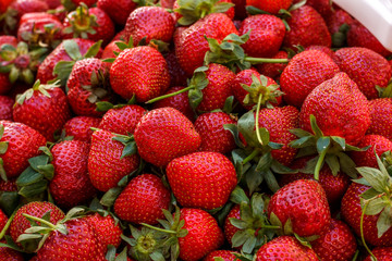 Red fresh ripe strawberries with green leaves