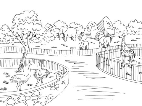 How to draw a Zoo scenery drawing step by step l Zoo scenery drawing easy   YouTube