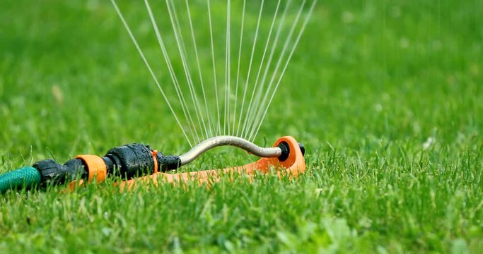 lawn watering - water sprinkler working in green grass at home backyard. 4k dolly shot