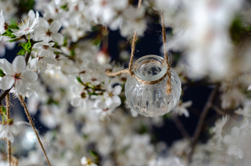 Original wedding flower decorations in the form of mini-vases and bouquets of flowers, hanging on a flowering branch