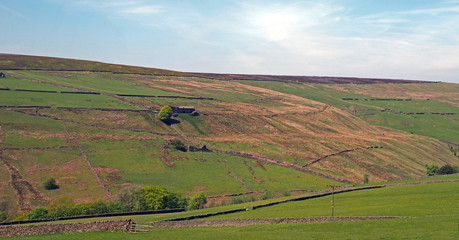 Fototapeta na wymiar a panoramic view of green grass meadows surrounded by stone walls and surrounded by high moorland and ruined farmhouses in bright summer sunlight in the yorkshire dales countryside